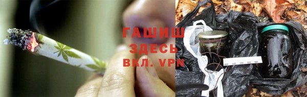 сатива Балахна