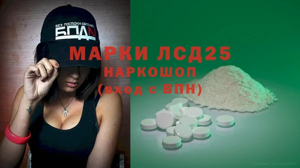 сатива Балахна
