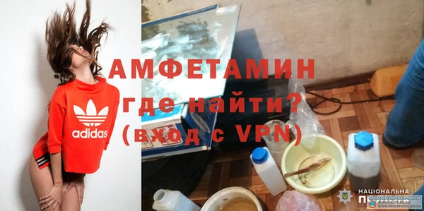 сатива Балахна